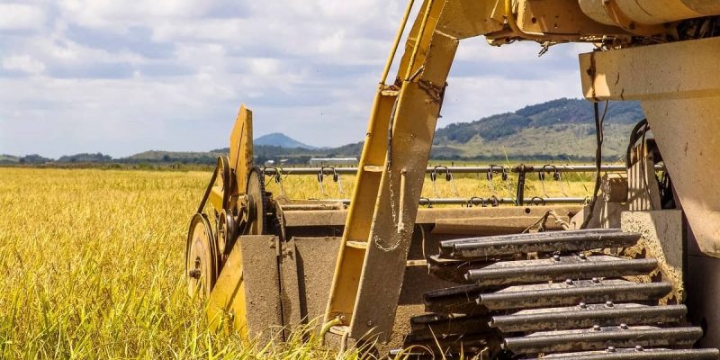 Os métodos de colheita podem ser segmentados em manuais, semi mecanizados e mecanizados