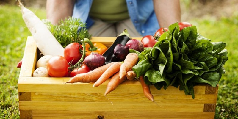 Impacto é maior entre os agricultores de renda mais baixa