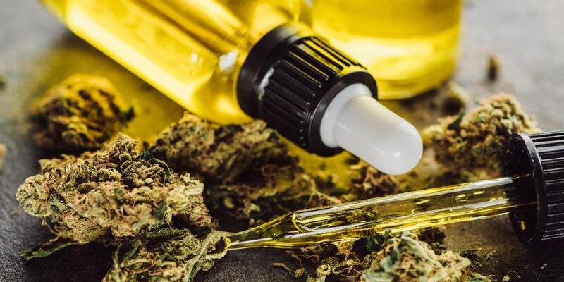 Imagem - cannabisesaude