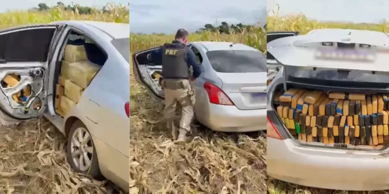 Ao todo, foram apreendidos 1.249 quilo de maconha e 1,7 quilo de haxixe (Foto: Divulgação/PRF)
