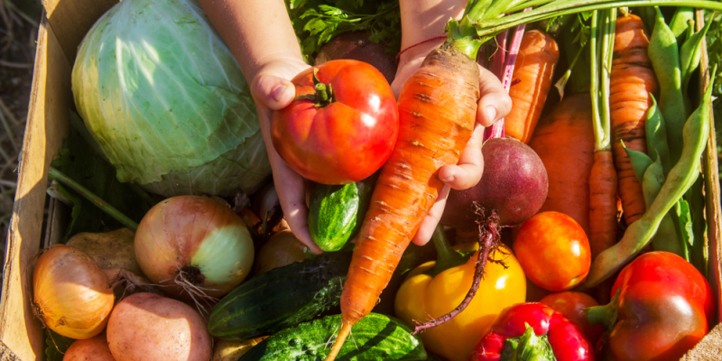 30% dos alimentos adquiridos para o evento serão provenientes da agricultura familiar e da sociobiodiversidade local