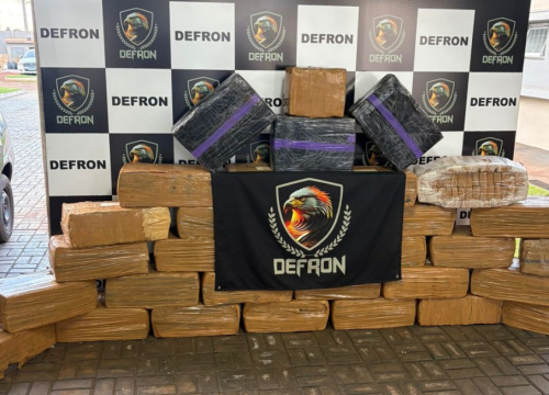 Droga era transportada num veículo argentino com placas do Paraguai (Foto: Divulgação/Defron)