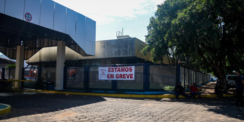 Imagem - Pietra Dorneles