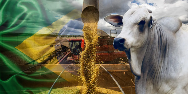Imagem - Montagem CompreRural

Leia mais em: https://www.comprerural.com/entenda-os-desafios-do-brasil-como-player-mundial-do-agro/