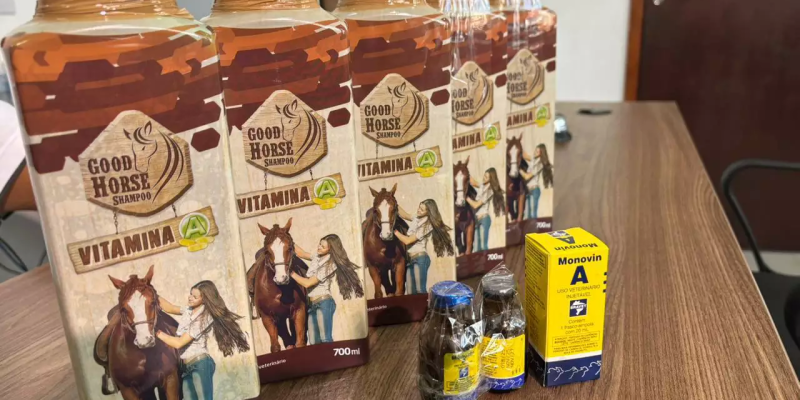 Amostra dos produtos apreendidos pela Decon (Foto: Gabi Cenciarelli)