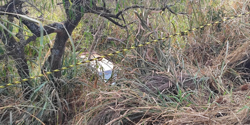 Saveiro entre a vegetação após sair da pista, na MS-145 (Foto: Eliton Santos/Impacto News)