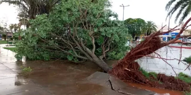 Estragos provocados pelo temporal, em Caarapó - Foto: reprodução/Caarapó News