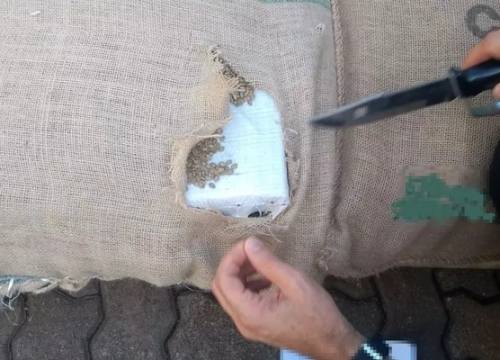 Tabletes de cocaína estavam escondidos em sacas de café em Santos, SP — Foto: Divulgação/Receita Federal
