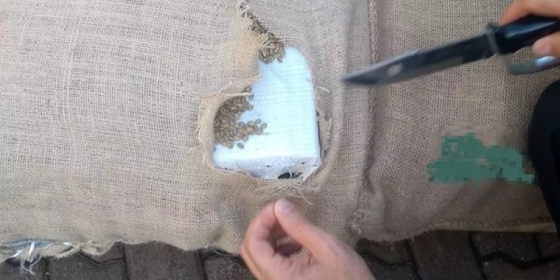 Tabletes de cocaína estavam escondidos em sacas de café em Santos, SP — Foto: Divulgação/Receita Federal