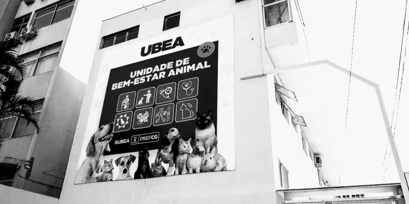 Subea fica na Rua Rui Barbosa, número 3.538 no Centro. (Foto: Divulgação)