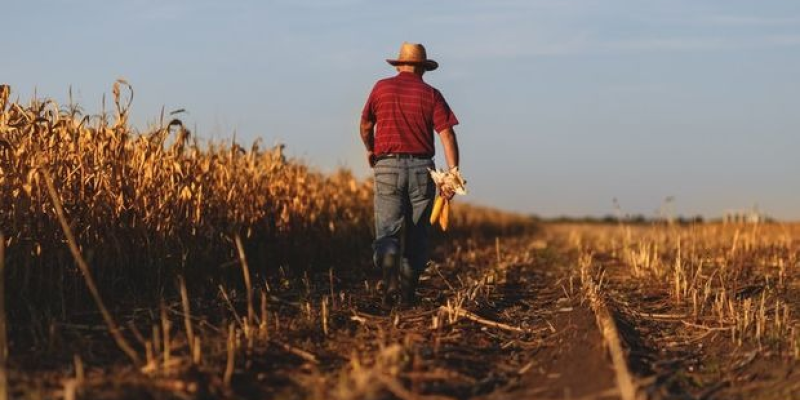 Foto: AgrofyNews