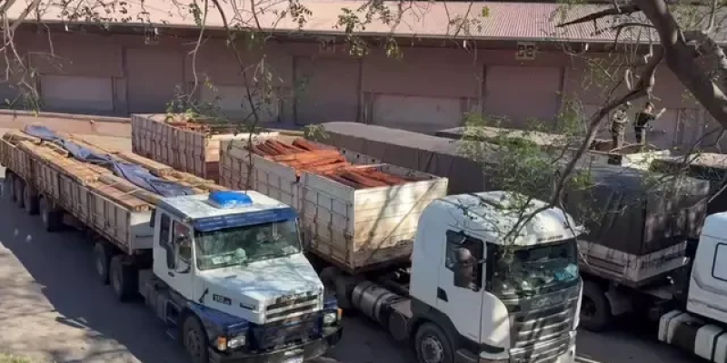 Imagens - Divulgação