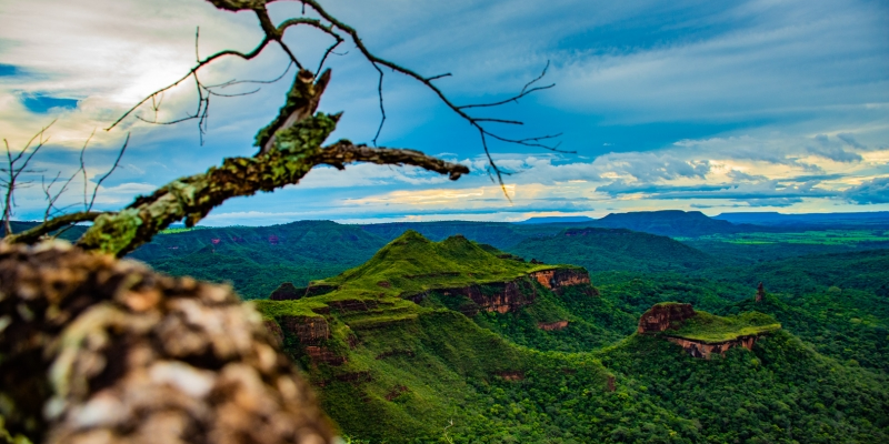 Aquisição de 122 hectares amplia proteção ambiental em Costa Rica com recursos da compensação ambiental