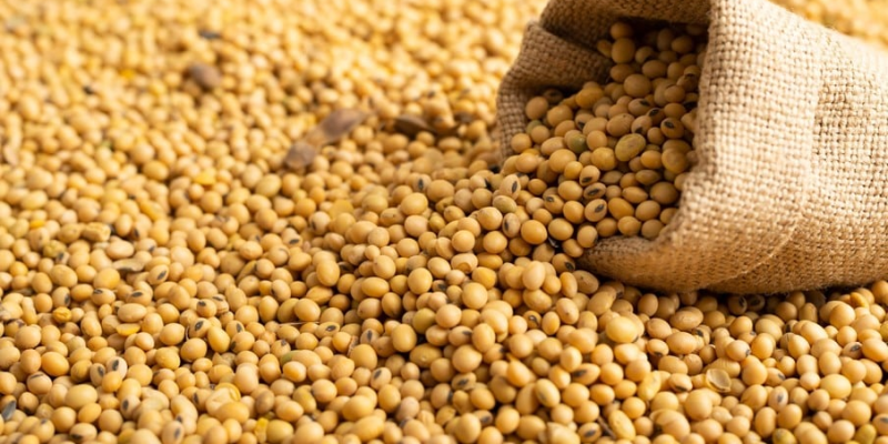 Imagem - Agrimídia