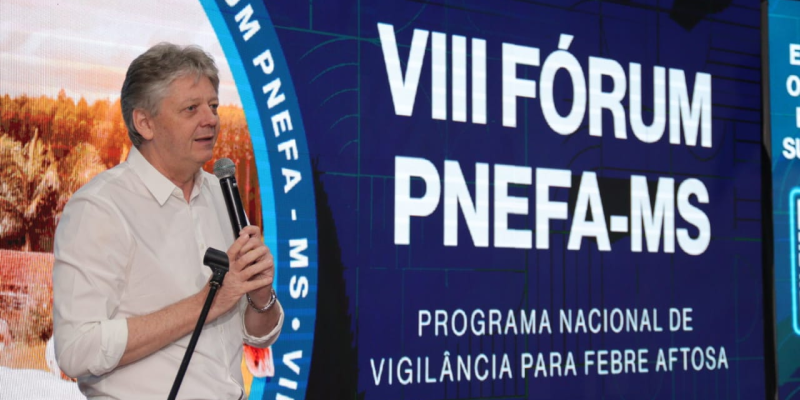 Imagem -  Mairinco de Pauda