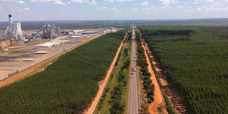 BR-262 em Ribas do Rio Pardo faz parte da Rota da Celulose Imagem - Álvaro Rezende/Secom