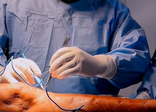 Com mais de 370 procedimentos realizados e pacientes de 40 municípios atendidos