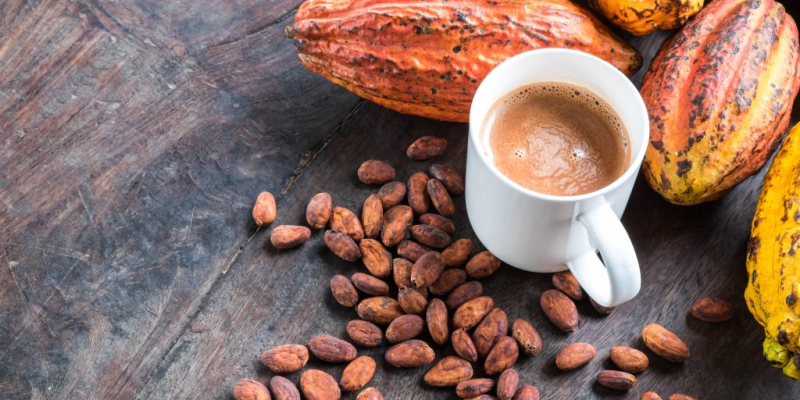 Café e cacau são conhecidos por seus efeitos energizantes, graças à presença de cafeína e teobromina
