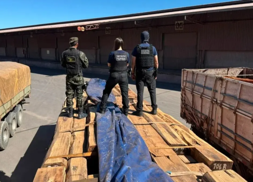 Carga de madeira que escondia cocaína. (Foto: Divulgação)