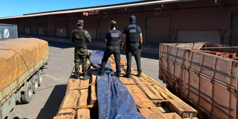 Carga de madeira que escondia cocaína. (Foto: Divulgação)