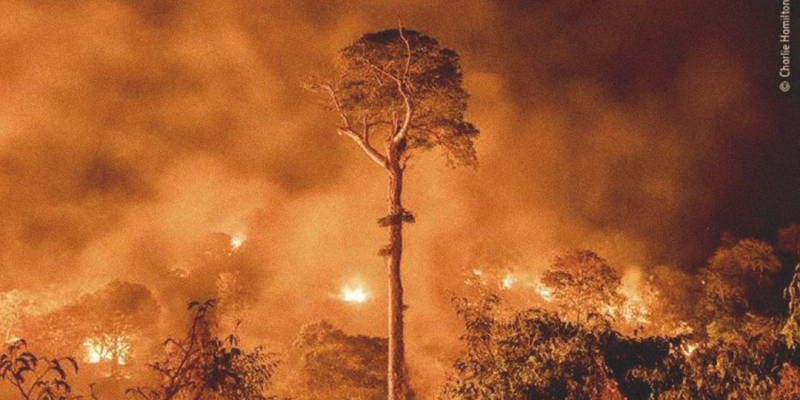 Segundo ministra, decisão do governo é 'preservar o licenciamento ambiental'; entenda
