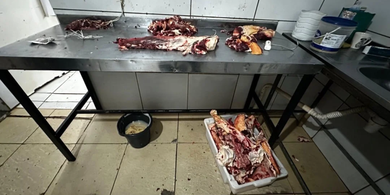 Imagens - DECON/Divulgação