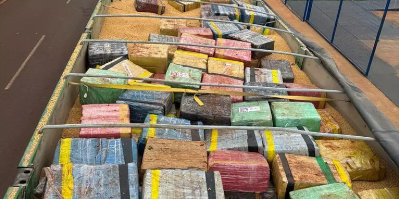 Fardos de maconha estava escondida em carregamento de soja (Foto: Divulgação)