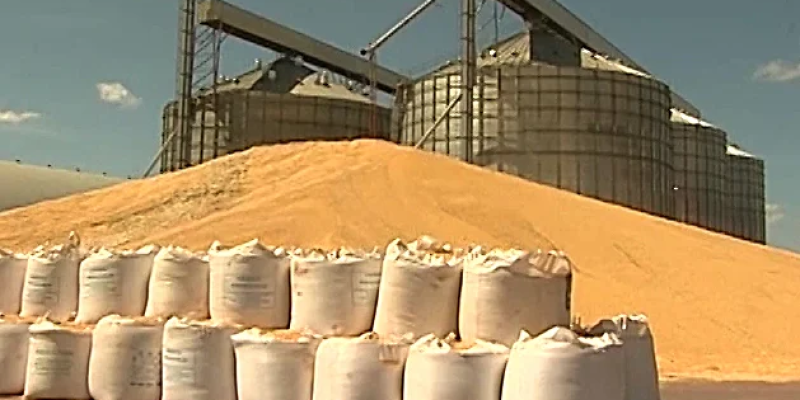 Do total de silos, 15% a 16% estão nas fazendas, segundo a Abimaq; gargalo afeta a estratégia de comercialização