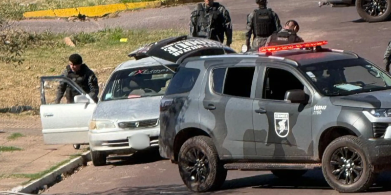 Imagem - Reprodução