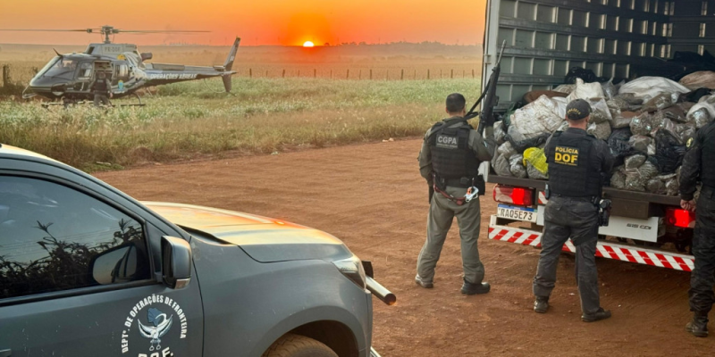Policiais no local onde droga foi apreendida com apoio de helicóptero - Imagem - DOF/Divulgação