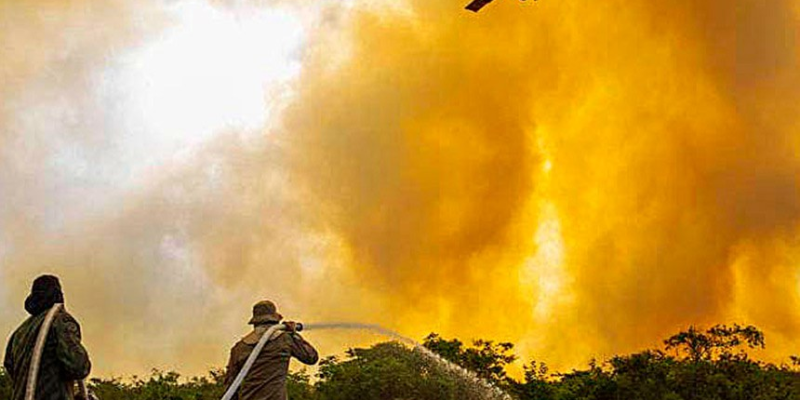 Imagem - Divulgação/Corpo de Bombeiros Militar MS