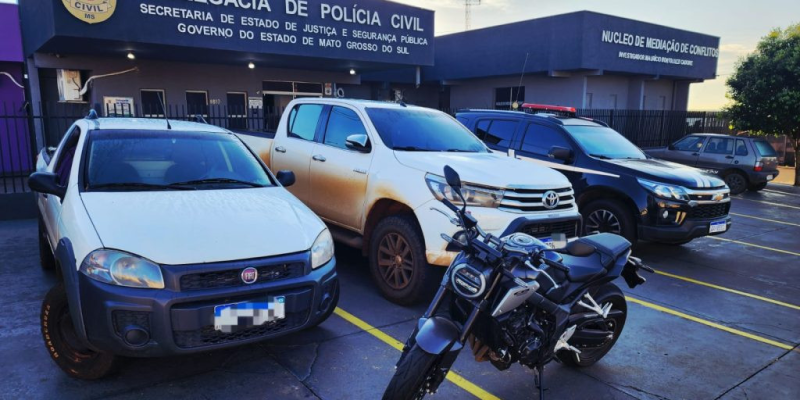 Carros apreendidos durante a operação (Foto: Divulgação/PC)