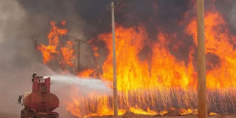 Bombeiros tentam apagar incêndio no município de Dumont (SP) no sábado