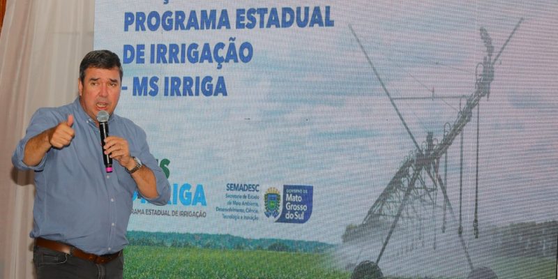 Imagens - Saul Schramm