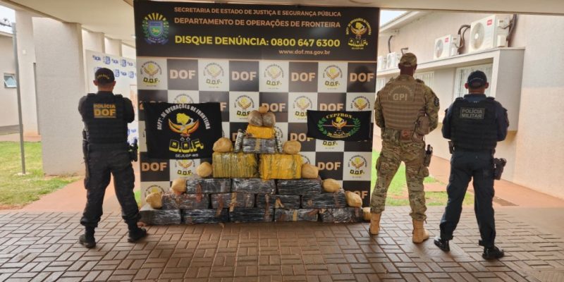 Policiais ao lado de fardos de maconha encontrados em mata (Foto: DOF/Divulgação)