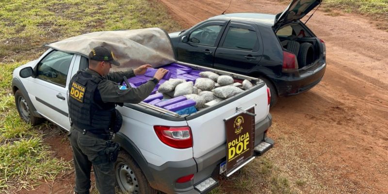 A droga apreendida foi avaliada em aproximadamente R$ 1,9 milhão  Foto: DOF/Divulgação