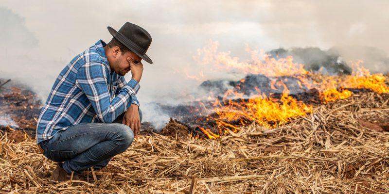 As mudanças climáticas podem ter impactos graves na agricultura brasileira