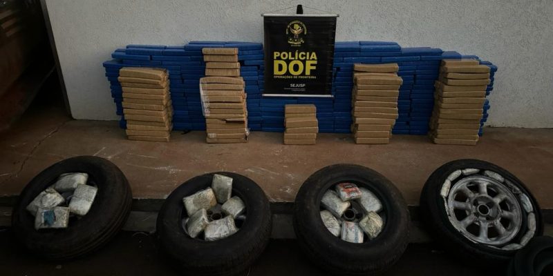 Droga apreendida pelo DOF (Foto: Assessoria/Divulgação)