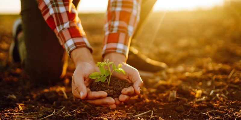 Grupo de produtores se uniu para formar a Frente Empresarial para Regeneração da Agricultura (FERA)