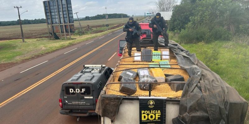 Carreta que levava maconha escondida em carga de milho (Foto: DOF/Divulgação)