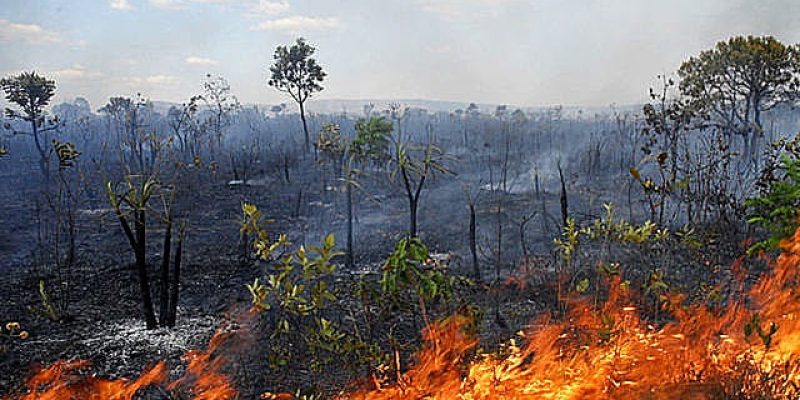 Imagem- Agência Fapesp