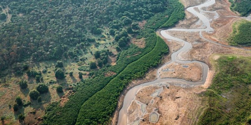 Mais de 148 mil pescadores artesanais receberão auxílio extraordinário Imagem - Ricardo Stuckert/PR