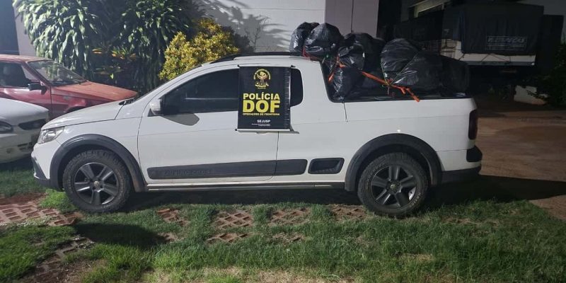 Divulgação DOF