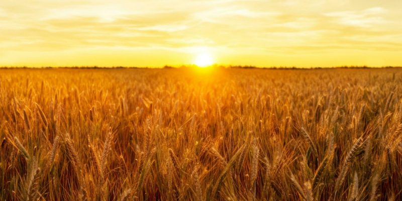 Mato Grosso do Sul seguirá sob essa condição climática até o domingo