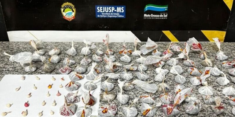 Pacotes de droga e dinheiro apreendidos com traficante em aldeia (Foto: Divulgação)