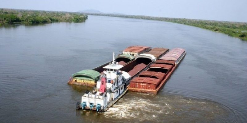paraguaia