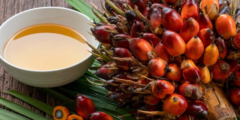 A gordura de palma contém vitamina E, que é uma substância com alto poder antioxidante