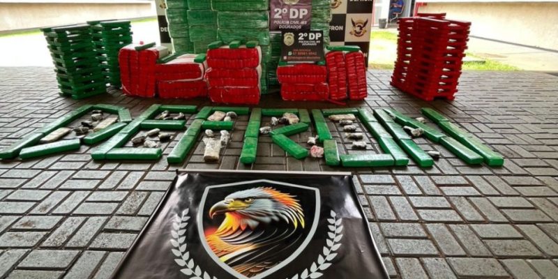Tabletes de maconha apreendidos no distrito de Indápolis (Foto: Defron/Divulgação)