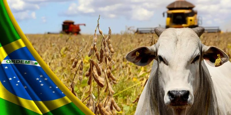 Foto: Montagem Compre Rural