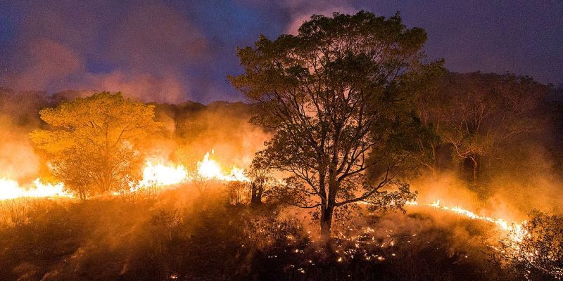98% das queimadas no bioma são oriundas de ações humanas Imagem -Iberê Périssé